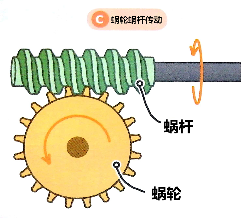 蜗轮蜗杆.jpg